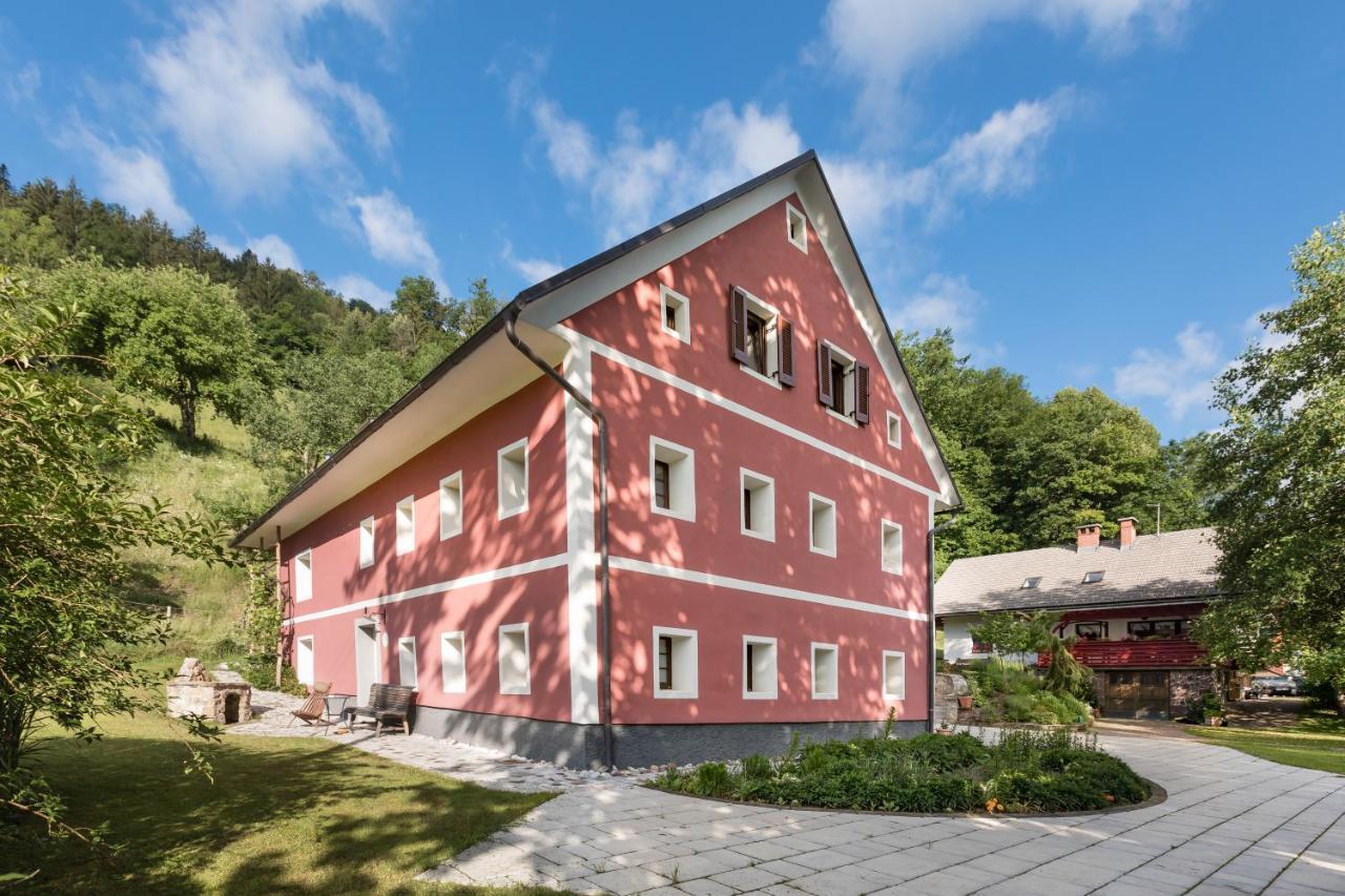 Homestead Farm Tesnak Gorenja Vas  المظهر الخارجي الصورة