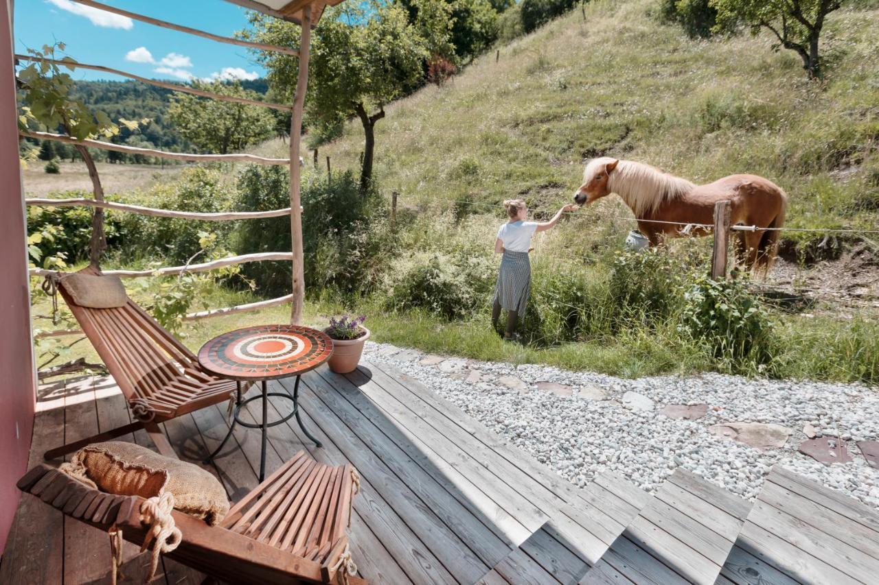 Homestead Farm Tesnak Gorenja Vas  المظهر الخارجي الصورة